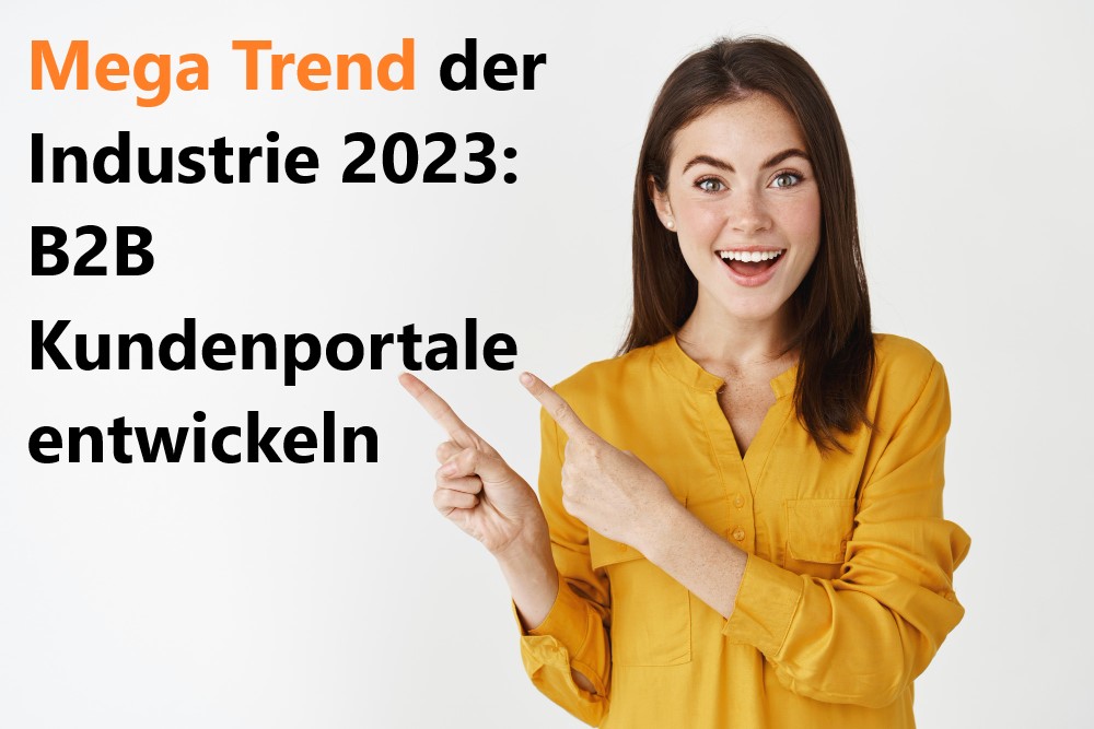 Mega Trend der Industrie 2023: B2B Kundenportale entwickeln