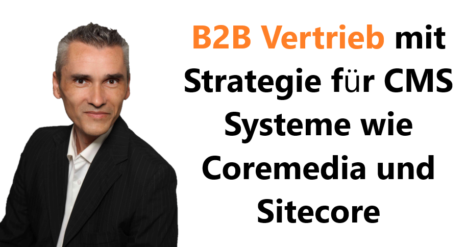 B2B Vertrieb mit Strategie für CMS Systeme wie Coremedia und Sitecore