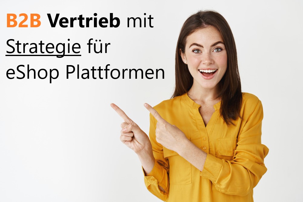 B2B Vertrieb mit Strategie für eShop Plattformen wie Commercetools und SAP