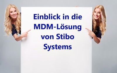 Einblick in die MDM-Lösung von Stibo Systems