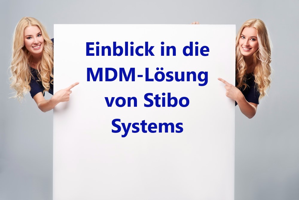 Einblick in die MDM-Lösung von Stibo Systems
