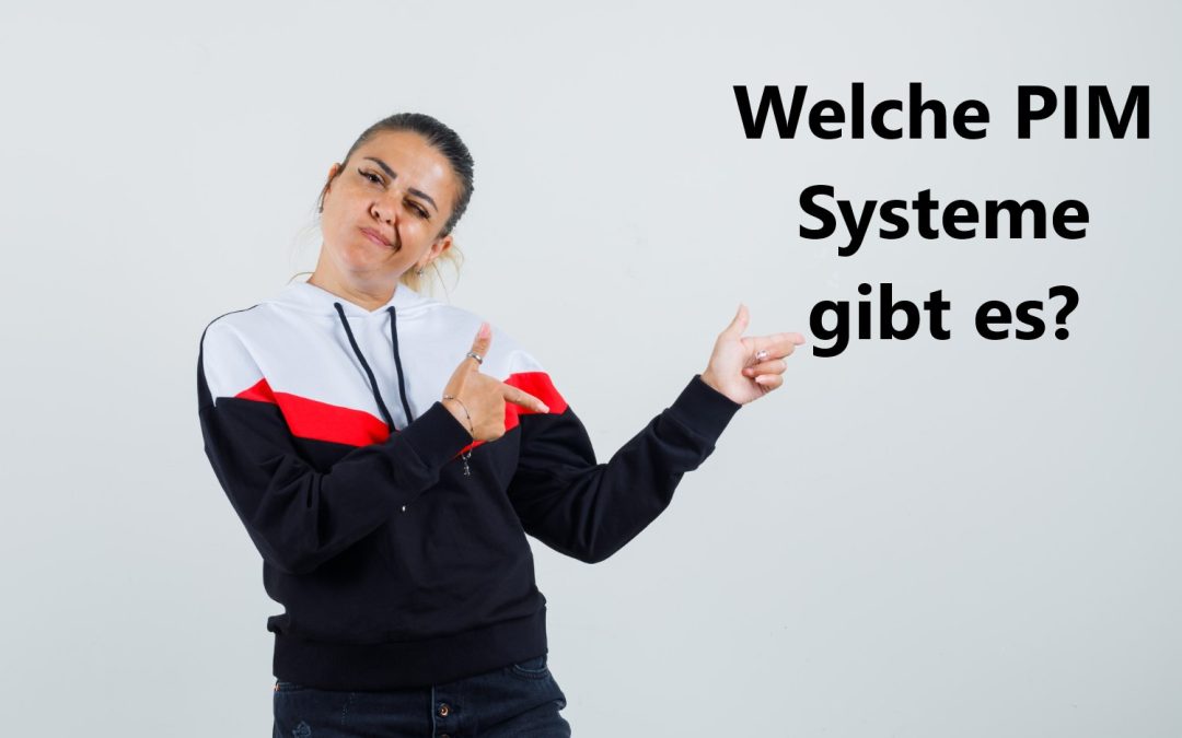 Welche PIM Systeme gibt es?